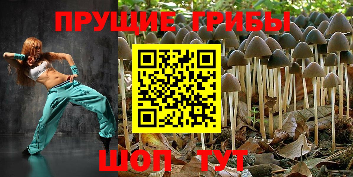 Галлюциногенные грибы Cubensis Белореченск