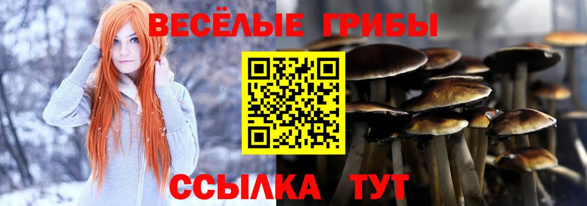 Псилоцибиновые грибы Magic Shrooms  Вход с VPN  Белореченск  Галлюциногенные грибы мухоморы 